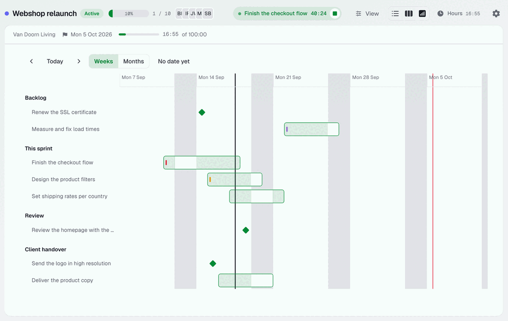 A project timeline with bars, a milestone and the line marking today
